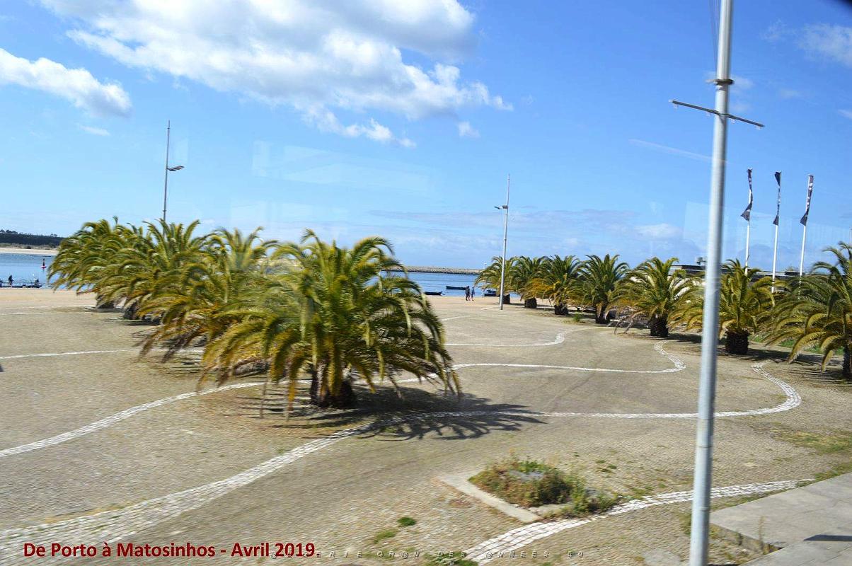 0863 - De Porto a Matosinhos.jpg